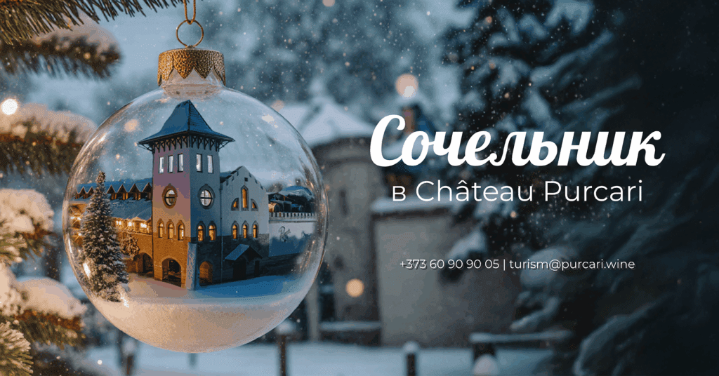 14.11.25 Web Turism Craciun carusel 1920x1005px work 03