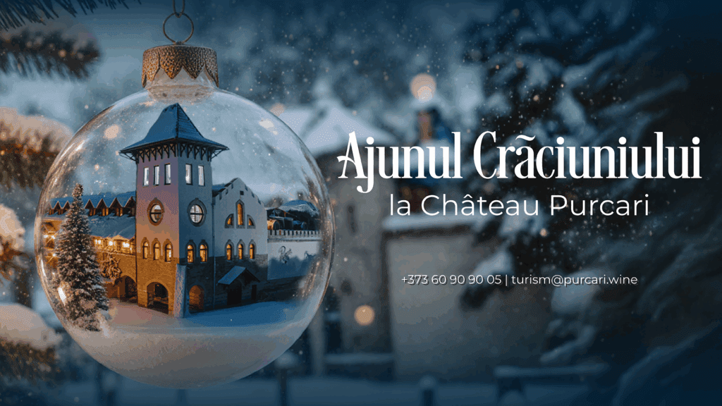 14.11.25 Web Turism Craciun carusel 1920x1080px work